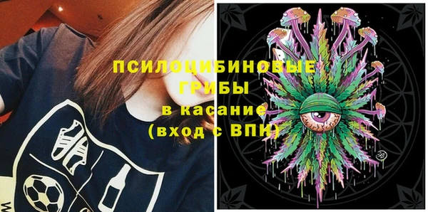 spice Бронницы