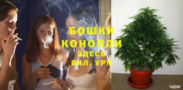 марки lsd Бородино