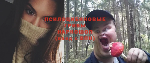гидра Бугульма