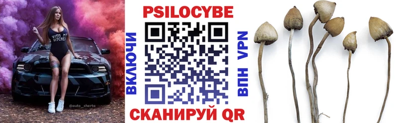 Галлюциногенные грибы ЛСД  как найти наркотики  Горбатов 